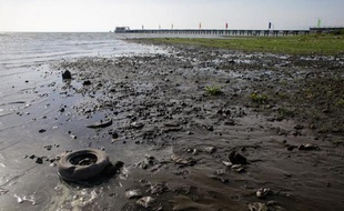 Des détritus jonchent les bords du Grand lac du Nicaragua le 24 avril 2014