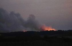 Un incendie détruit 230 hectares dans le massif de La Double en Charente