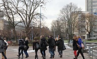 Strasbourg le 22 01 2012. Université de Strasbourg. Illustrations