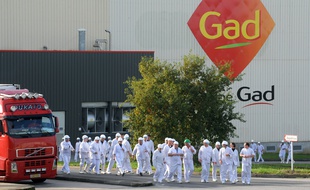 (FILES) -- A file picture taken on October 22, 2013 shows employees of the Gad slaughterhouse in Josselin, in the Morbihan department of Britanny, western France, walking in front of their factory, as employees of the Lampaul-Guimiliau based Gad slaughterhouse, in the Finistere department of Britanny, block the entrance to the Josselin site. Management of the Josselin site of the Gad slaughterhouse, which employs around 1000 people, announced the intention to begin compulsory liquidation procedures, the French CFDT workers' union announced on August 9, 2014. AFP PHOTO/FRED TANNEAU