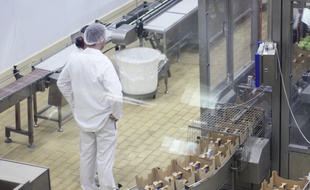Illustration d'une entreprise agroalimentaire en Bretagne.
