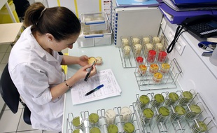 Une scientifique dans un laboratoire parisien le 5 juin 2012