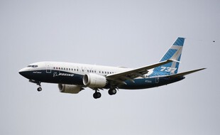 Une partie du système de contrôle des commandes de vol du Boeing 737 MAX était défectueuse et avait causé deux accidents meurtriers.
