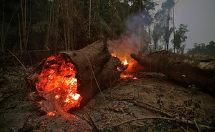 Vendredi, le président Jair Bolsonaro a autorisé le déploiement de l’armée brésilienne pour aider à combattre les incendies dans la forêt amazonienne. Ici dans la région d’Abuna, dans l’État de Rondônia.
