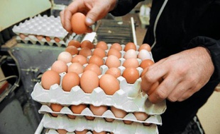 Exaspérés par la faiblesse des cours de l'oeuf liée à la surproduction, des producteurs bretons menacent de reprendre leurs actions de destruction d'oeufs si les prix n'ont pas remonté d'ici la semaine prochaine.