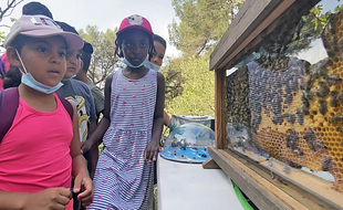 Les enfants de l'école Ariane Sud-Marcel Pagnol devant les abeilles jeudi 17 juin 2021, dans le quartier de l'Ariane à Nice
