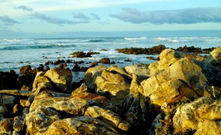 Le cap Agulhas, le point le plus méridional de l'Afrique, au large duquel se forme un courant chaud.