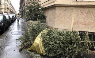 Des sapins abandonnés dans la rue dans le 17e arrondissement.