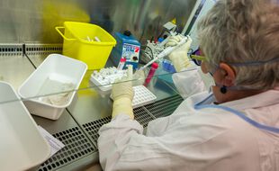 Au sein du laboratoire de virologie de Toulouse où les séquençages du variant Delta sont réalisés.