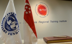 Le logo du FMI (Fonds monétaire international).