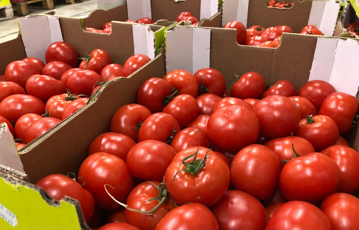 Des agriculteurs français en pétard face aux tomates marocaines