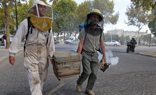 Des apiculteurs ont manifesté le 14 septembre contre les pesticides nuisibles aux abeilles en demandant l'asile écologique de leurs rûches au Jardin des plantes, à Paris.