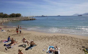 Une baigneuse a affirmé avoir été mordue par un poisson au large des plages de Cannes. Ici, la plage de la Croisette.