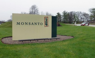 L'entrée du siège de Monsanto, à Saint-Louis, dans le Missouri, le 7 avril 2014