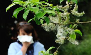 Photo d'une femme qui souffre d'une allergie aux pollens prise le 18 mai 2013 à Godewaersvelde, dans le nord de la France