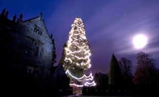 Ardingly, Royaume-Uni
Le plus grand sapin de Noël «vivant» du Royaume-Uni.