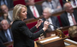 Les députés écologistes, qui s'étaient déjà dit "ouverts" à un vote de la loi organique instaurant une "règle d'or" de retour à l'équilibre budgétaire, ont affirmé mercredi qu'elle "assouplissait" le "carcan du traité" budgétaire européen, contre lequel ils vont voter.