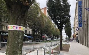 A l'arrêt depuis cet été, le chantier d'aménagement de l'avenue Janvier va reprendre à la fin du mois.