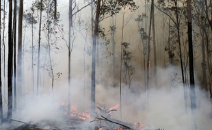 Un incendie près de Bodalla, en Australie.