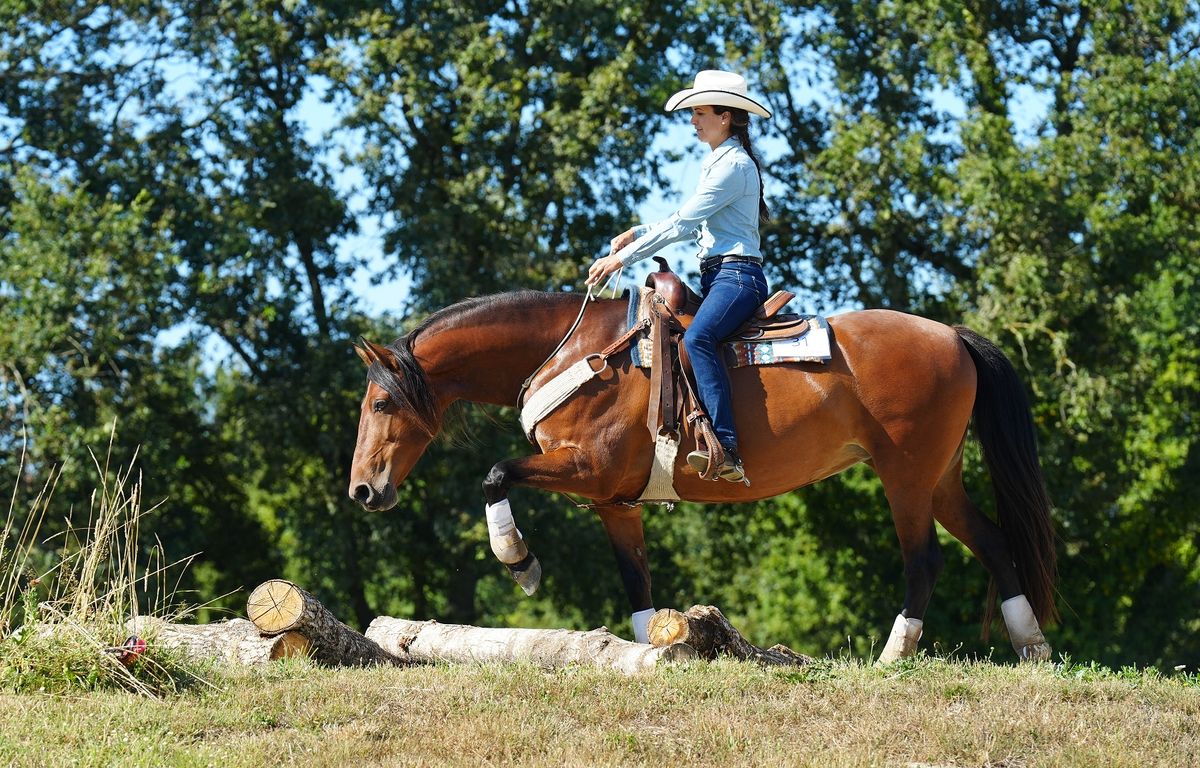 livre GUIDE CHEVAL origines ET SES A COTéS