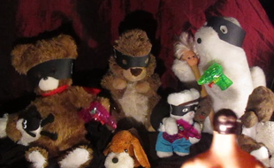 Les nounours de la Section Libertaire Internationale du Plantigrade répondent aux chasseurs.