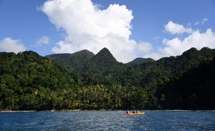 Un paysage de Martinique. (Illustration)
