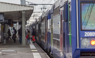 Ile-de-France Mobilités va amputer le RER D de trois branches qui mènent dans l'Essonne et le Loiret. (Illustration)