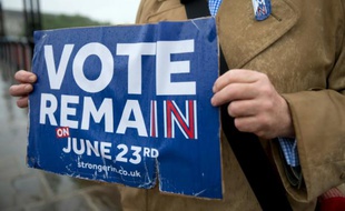 Un opposant au Brexit tient une pancarte à Londres, le 20 juin 2016