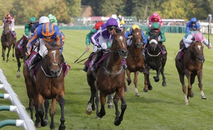 Le Grand Prix de Chantilly d'équitation, en 2016 (photo d'illustration).