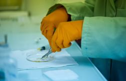 Le financement de la recherche est « à bout de souffle » alertent les scien…