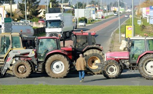 Des agriculteurs, en colère contre la baisse des prix de leurs produits, bloquent les routes à Marmande (Lot-et-Garonne) le 5 février 2016