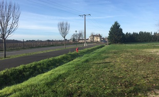 Le projet de collège à Parempuyre (Gironde) doit voir le jour face au vignoble du château Clément-Pichon