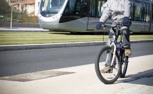 Illustration de tram et vélos dans les rues de Toulouse, le 24 novembre 2010.