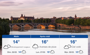 Météo Toulouse: Prévisions du samedi 25 mai 2019