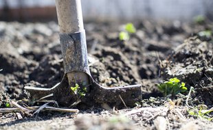 Un jardin potager (image d'illustration).