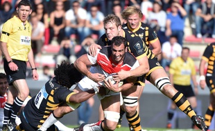 Le deuxième ligne du Stade Toulousain Yoann Maestri face aux Wasps en Champions Cup, le 23 octobre 2016 au stade Ernest-Wallon.