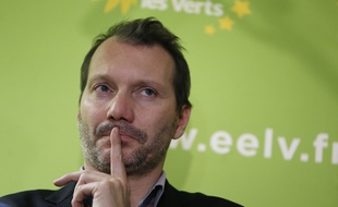 David Cormand, le 12 février 2016.