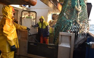 Les marins du chalutier