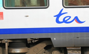 Motrice de ter en gare de Toulouse Matabiau. Archives.