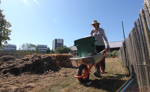 Une maraîchère va s'occuper des potages en permaculture de la ferme urbaine du Blosne.