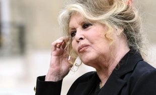 L'ancienne ?actrice française Brigitte Bardot quitte le Palais de l'Elysée, le 27 septembre 2007 à Paris