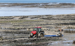 Illustration d'un ostréiculteur à Cancale.