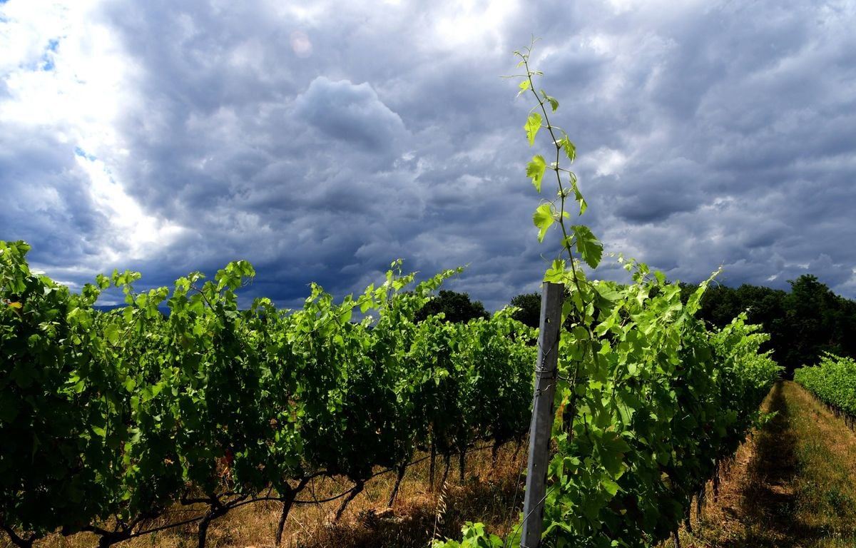 Orages, pluie et inondations : Trois départements placés en vigilance orange par Météo-France