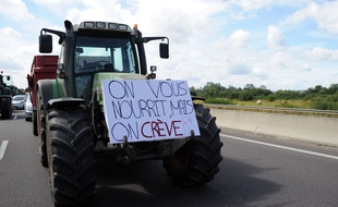Manifestation des agriculteurs sur les Autoroute A31 et A4 a la croix de Hauconcourt en Moselle /Credit:POL EMILE/SIPA/1507291241
