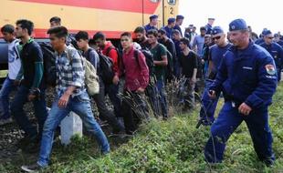 Des réfugiés escortés vers un train par des policiers le 8 septembre 2015 près de Szeged à la frontière de la Serbie et de la Hongrie