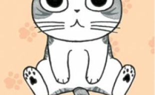 Chi, chaton nippon.