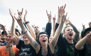 L'édition 2014 des Eurockéennes, dont le directeur affirme que tous les festivals, même les gros, sont menacés.