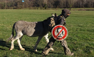 Un zadiste sur le site du barrage controversé de Sivens dans le Tarn, le 5 mars 2015.
