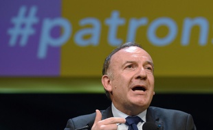 Le président du Medef Pierre Gattaz à Lyon, le 3 décembre 2014.