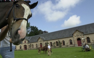 Le Haras national de Saint-Lô, dans la Manche, le 11 août 2000.